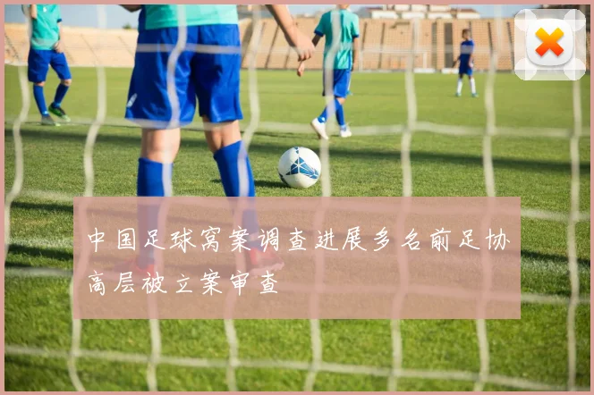 中国足球窝案调查进展多名前足协高层被立案审查