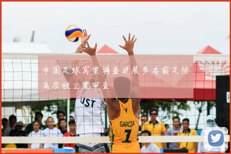 中国足球窝案调查进展多名前足协高层被立案审查