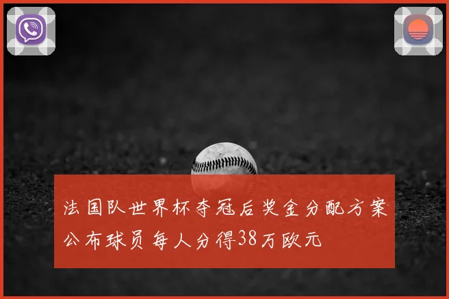 法国队世界杯夺冠后奖金分配方案公布球员每人分得38万欧元