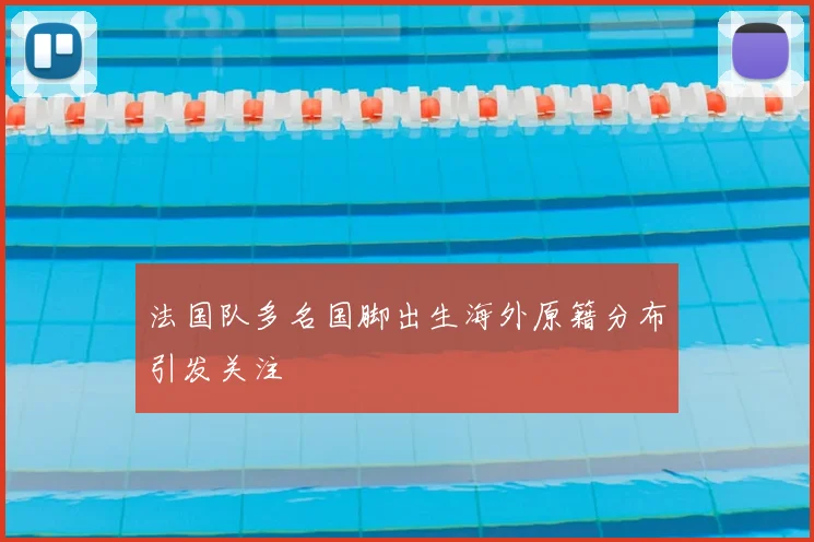 法国队多名国脚出生海外原籍分布引发关注