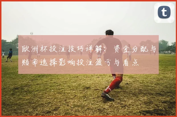 欧洲杯投注技巧详解：资金分配与赔率选择影响投注盈亏与看点