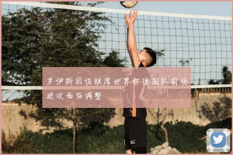 罗伊斯因伤缺席世界杯德国队前场进攻面临调整