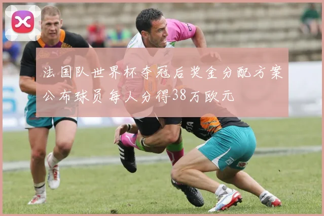 法国队世界杯夺冠后奖金分配方案公布球员每人分得38万欧元