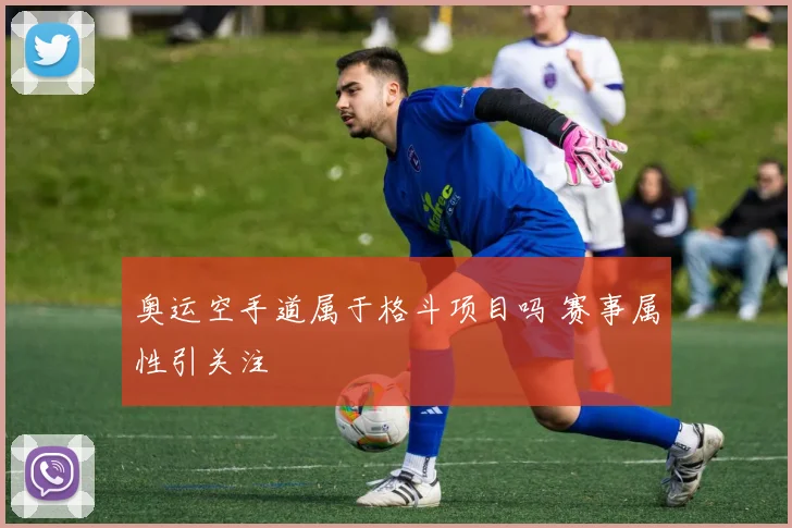 奥运空手道属于格斗项目吗 赛事属性引关注