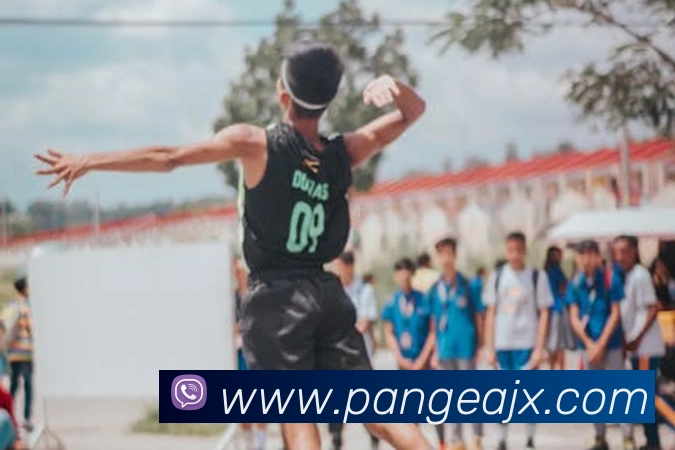 米兰app官方正版官网全站App